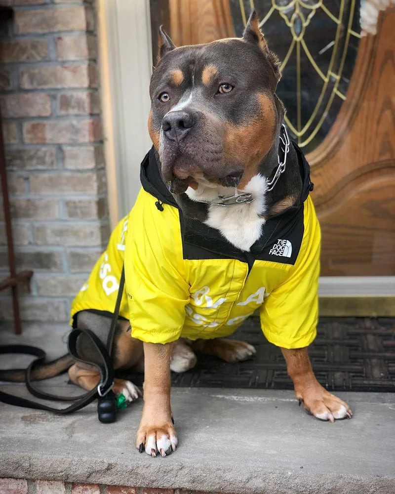 PAWVORA - Waterproof Dog Coat for Dry and Visible Walks
