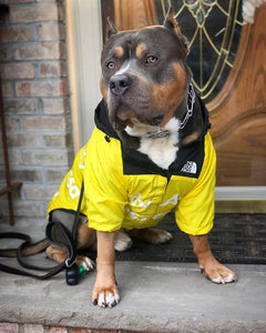 PAWVORA - Waterproof Dog Coat for Dry and Visible Walks