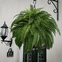 VERDAFERN – UV-Resistant Outdoor Greenery