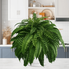 VERDAFERN - UV-Resistant Artificial Boston Fern for Lasting Greenery