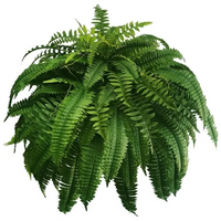 VERDAFERN – UV-Resistant Outdoor Greenery