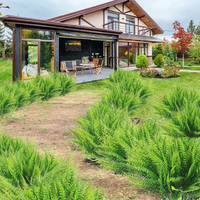VERDAFERN – UV-Resistant Outdoor Greenery