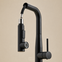 VORYNZA - Sculptural Pull-Out Kitchen Faucet for Easy Rinsing