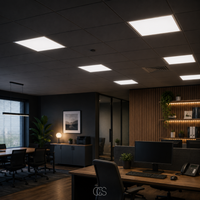 OCS - professionele LED plafondpaneel 60x60 - Energiezuinige Plafondverlichting