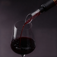 VINOLUX - 4-in-1 Electric Wine Opener for Effortless Serving