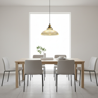 OCS - Vintage hanglamp van glas en metaal