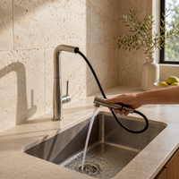 VORYNZA - Sculptural Pull-Out Kitchen Faucet for Easy Rinsing