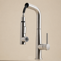 VORYNZA - Sculptural Pull-Out Kitchen Faucet for Easy Rinsing