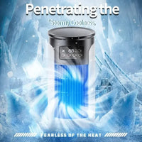 VENTICOOL – Portable Air Cooler with Multi-Speed Airflow for Summer