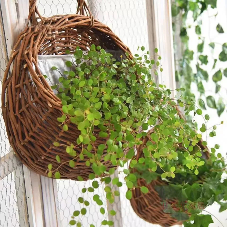 WICKORA - Wicker Wall Planter for a Striking Floral Display
