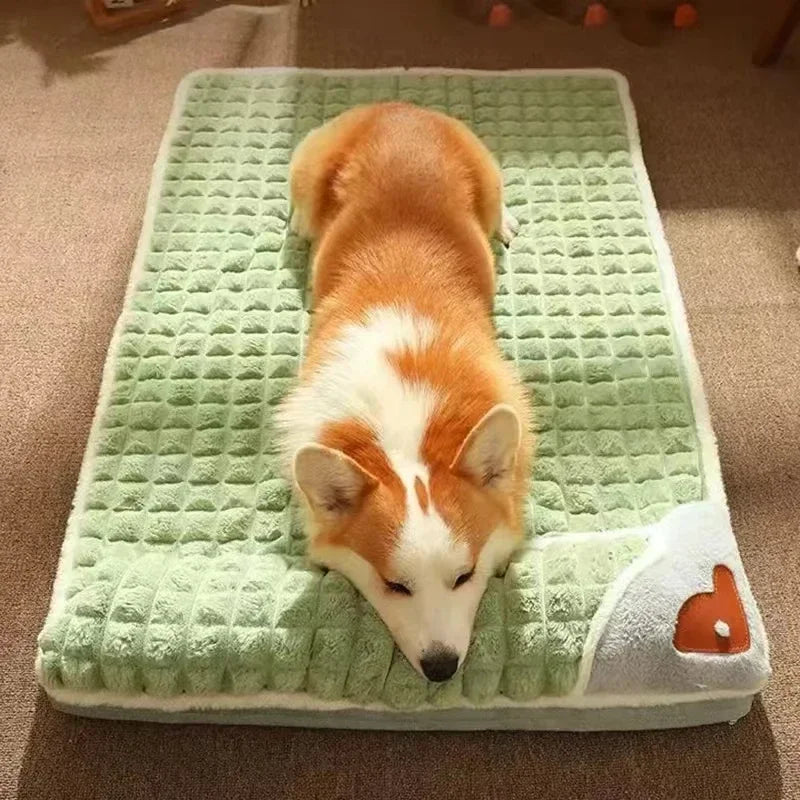 PAWVORA - Sculptural Orthopedic Pet Bed for Supportive Rest