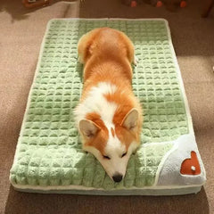 PAWVORA - Sculptural Orthopedic Pet Bed for Supportive Rest