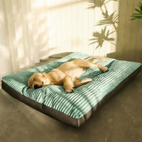 FLAUSCHNEST – Cozy Comfort for Dogs