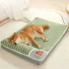 PAWVORA - Sculptural Orthopedic Pet Bed for Supportive Rest