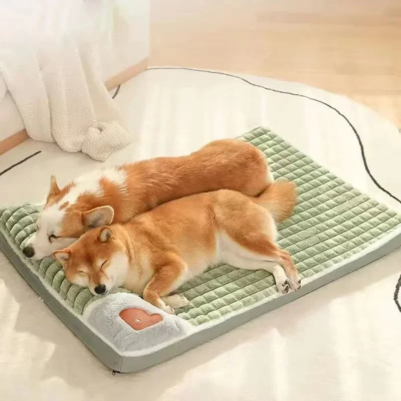 PAWVORA - Sculptural Orthopedic Pet Bed for Supportive Rest