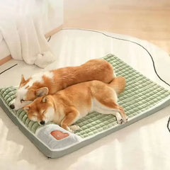 PAWVORA - Sculptural Orthopedic Pet Bed for Supportive Rest