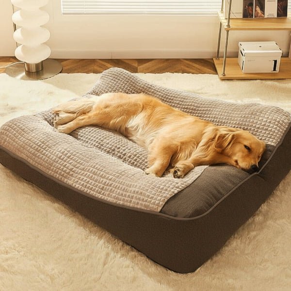 HUGBED - Sculptural Orthopedic Dog Bed for Joint-Supported Rest