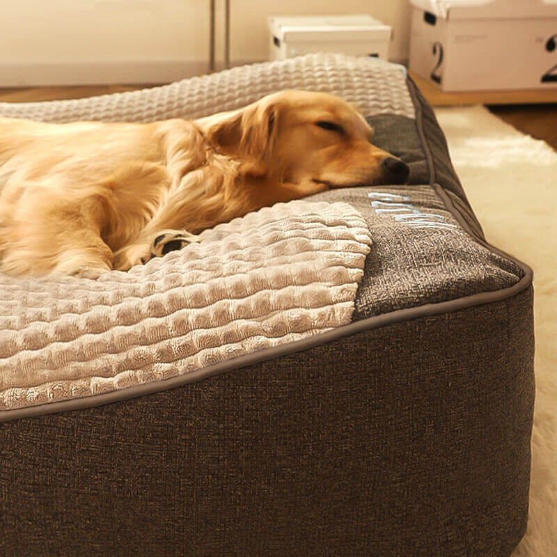 HUGBED - Sculptural Orthopedic Dog Bed for Joint-Supported Rest
