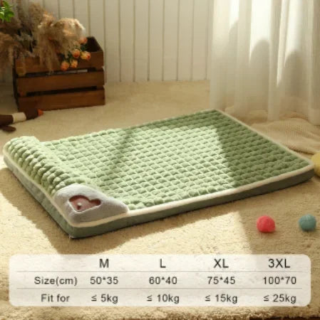 PAWVORA - Sculptural Orthopedic Pet Bed for Supportive Rest