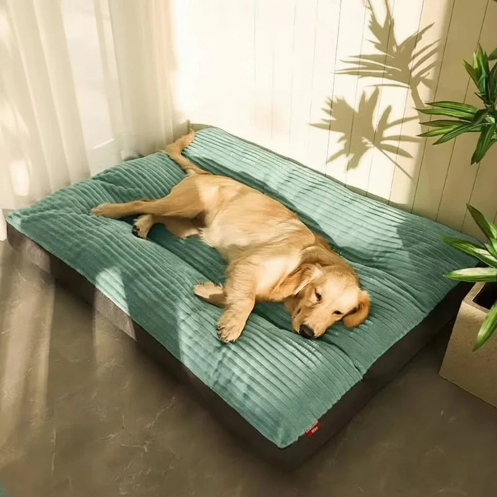 FLAUSCHNEST – Cozy Comfort for Dogs
