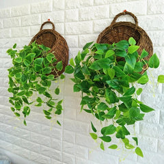WICKORA - Wicker Wall Planter for a Striking Floral Display