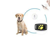 MEOWLOC - GPS cat tracker collar designed for real-time location monitoring and pet safety