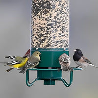 FEEDSAFE – Squirrel-Proof Bird Feeder for Hassle-Free Backyard Birdwatching