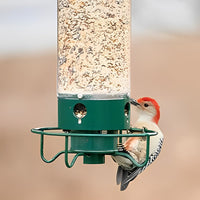 FEEDSAFE – Squirrel-Proof Bird Feeder for Hassle-Free Backyard Birdwatching