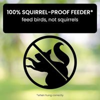 FEEDSAFE – Squirrel-Proof Bird Feeder for Hassle-Free Backyard Birdwatching