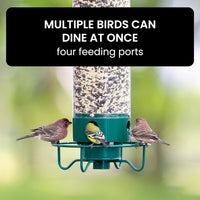 FEEDSAFE – Squirrel-Proof Bird Feeder for Hassle-Free Backyard Birdwatching