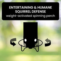 FEEDSAFE – Squirrel-Proof Bird Feeder for Hassle-Free Backyard Birdwatching