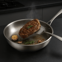 TITAN-PREMIUM PAN - High-quality titanium pan without coating for all hob types