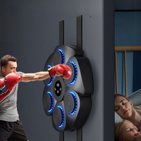 RHYVORA - Wall-Mounted Boxing Trainer for Engaging Home Workouts