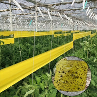 BUGSTRIP - Tree Barrier Tape That Stops Crawling Garden Pests