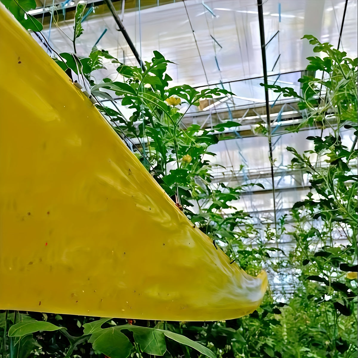 BUGSTRIP - Tree Barrier Tape That Stops Crawling Garden Pests