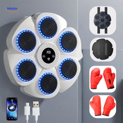 RHYVORA - Wall-Mounted Boxing Trainer for Engaging Home Workouts