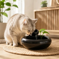 Fontaine à eau chat céramique sans filtre - Éco et zen | ClayFlow