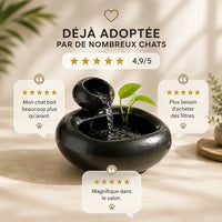Fontaine à eau chat céramique sans filtre - Éco et zen | ClayFlow