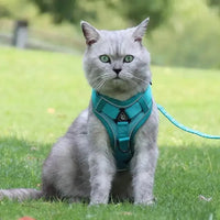 Harnais chat en Y - Anti-fugue sécurisé | CatSafe