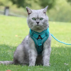 FELNIVO - Escape-Resistant Y-Shaped Cat Harness for Safer Walks