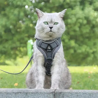 Harnais chat en Y - Anti-fugue sécurisé | CatSafe