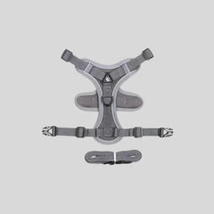 FELNIVO - Escape-Resistant Y-Shaped Cat Harness for Safer Walks