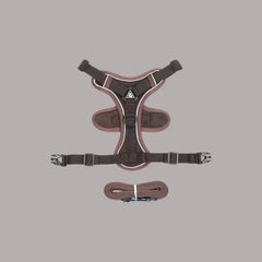 FELNIVO - Escape-Resistant Y-Shaped Cat Harness for Safer Walks