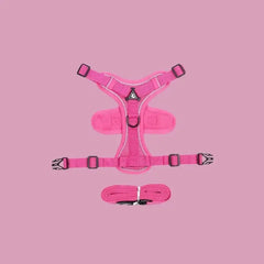 FELNIVO - Escape-Resistant Y-Shaped Cat Harness for Safer Walks