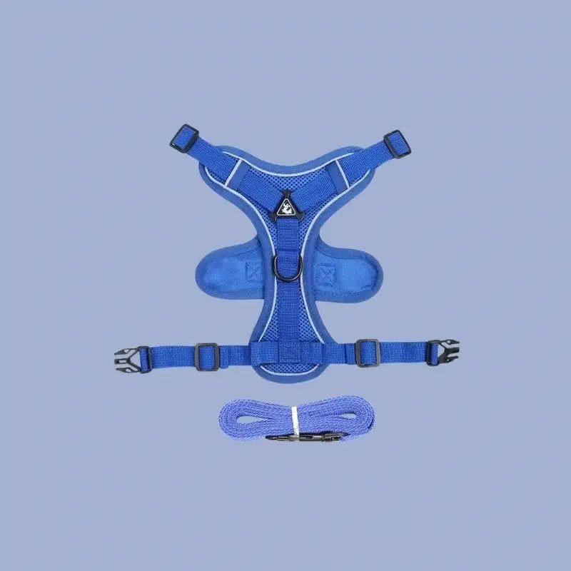 FELNIVO - Escape-Resistant Y-Shaped Cat Harness for Safer Walks