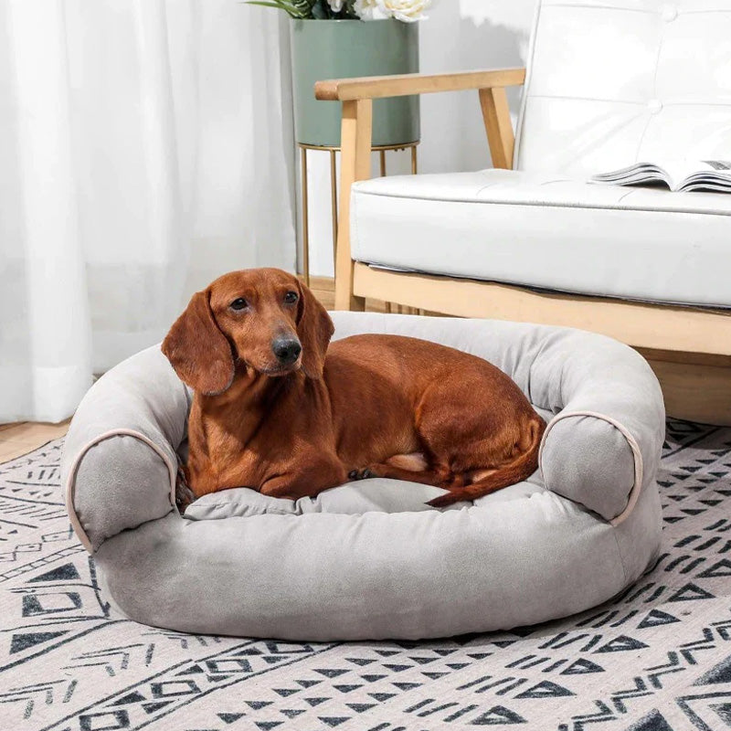 CUSHIVA - Statement Orthopedic Dog Sofa for Restful Joint Support