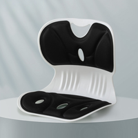 LUMEVRA - Sculpted Lumbar Cushion for Artful Posture Support