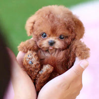 PUPLIVA - Interactive Robotic Puppy for Lifelike Companionship