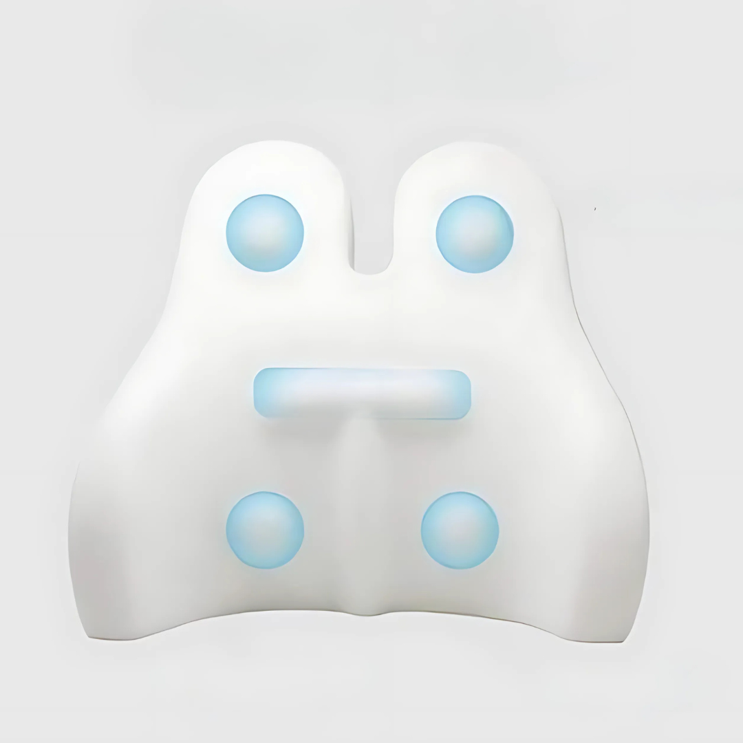 LUMEVIA - Sculpted Back Cushion for Posture and Lumbar Relief