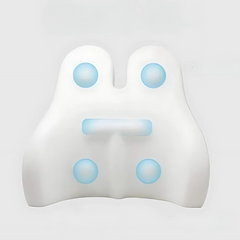 LUMEVIA - Sculpted Back Cushion for Posture and Lumbar Relief